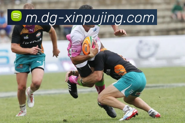 新葡京娱乐品牌故事