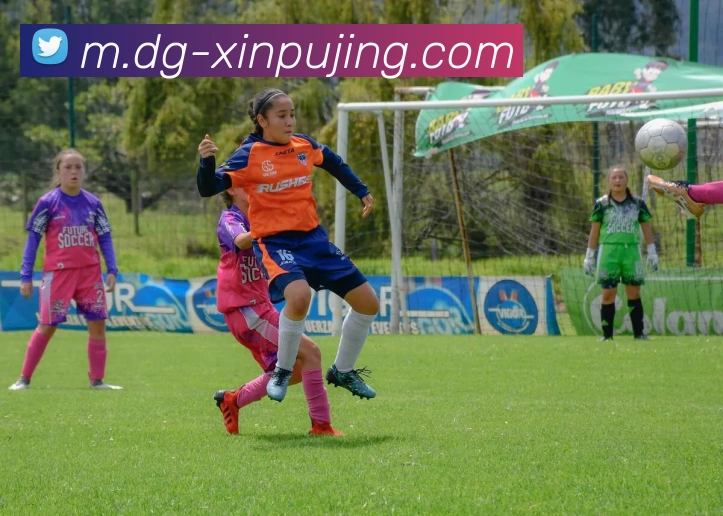 新葡京娱乐服务体系